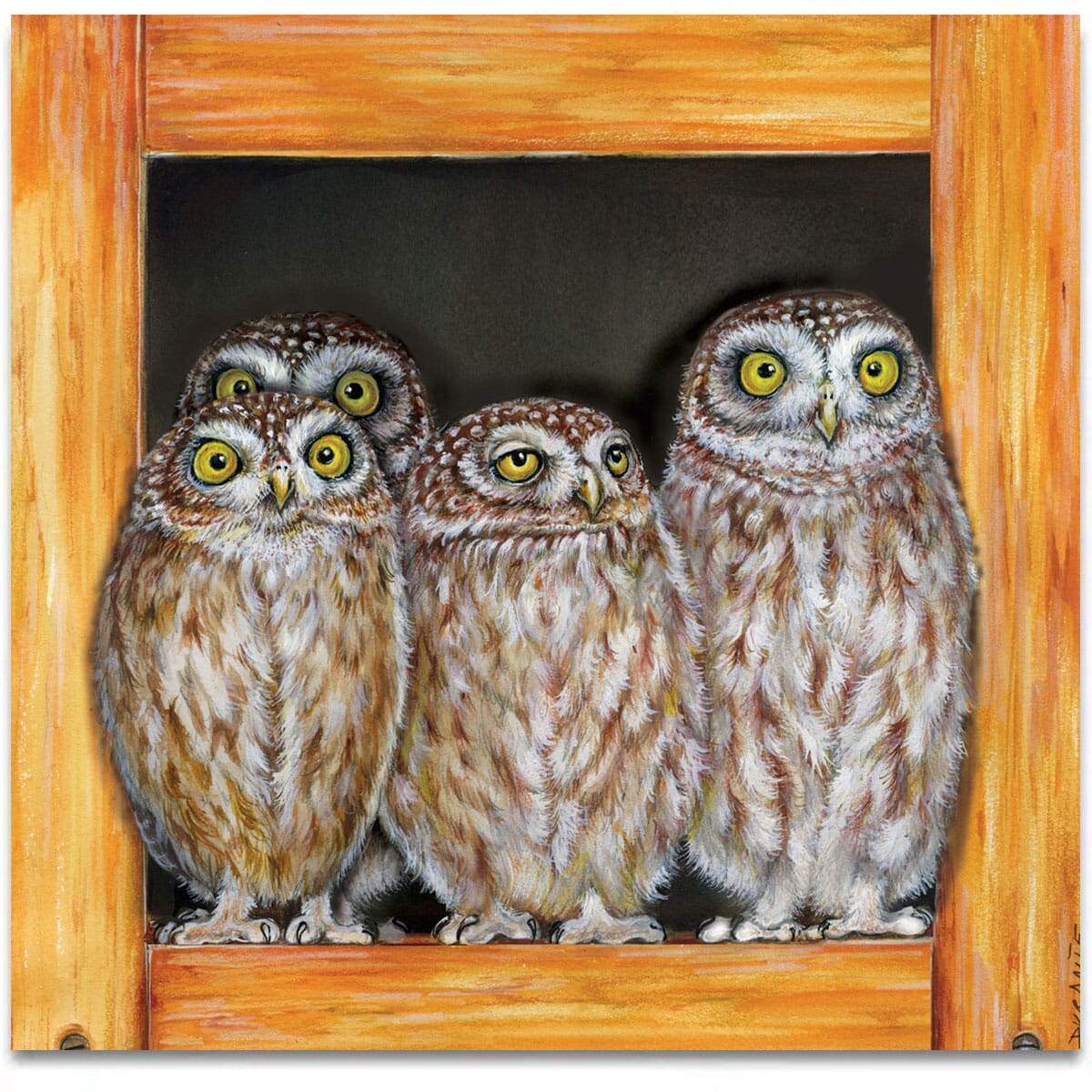 four-young-owls