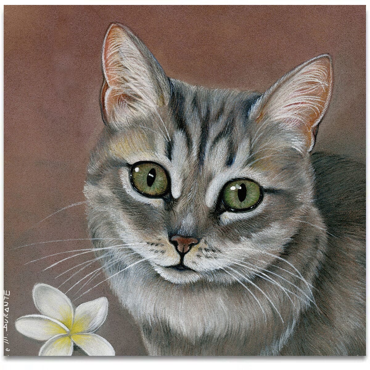 the-cat-with-a-flower