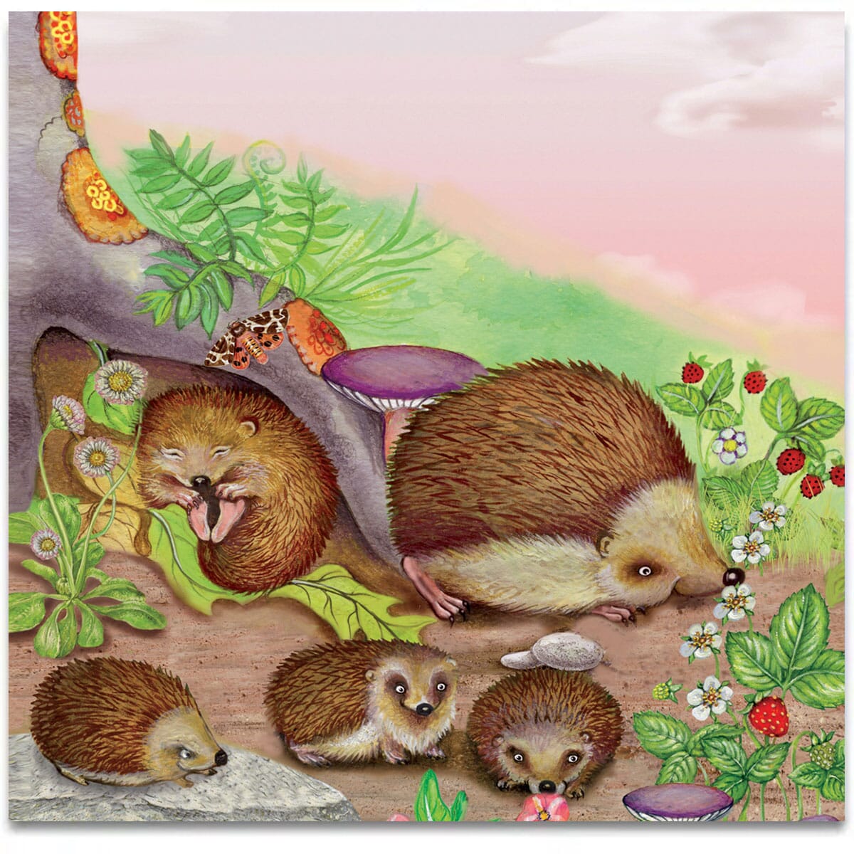 the-hedgehog-family