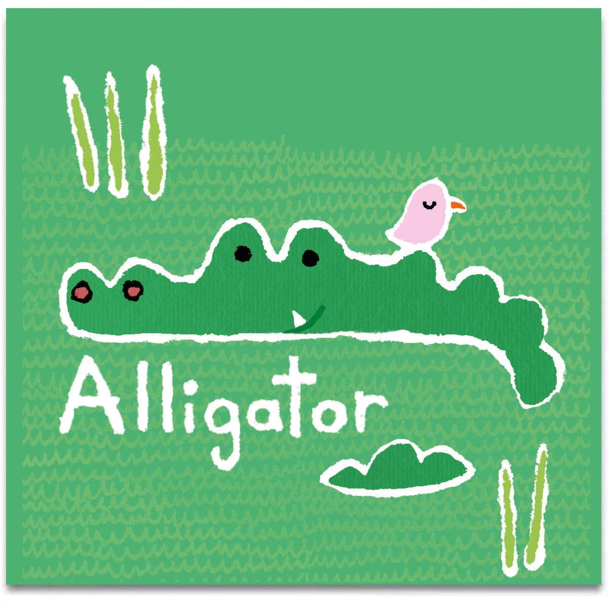 alligator