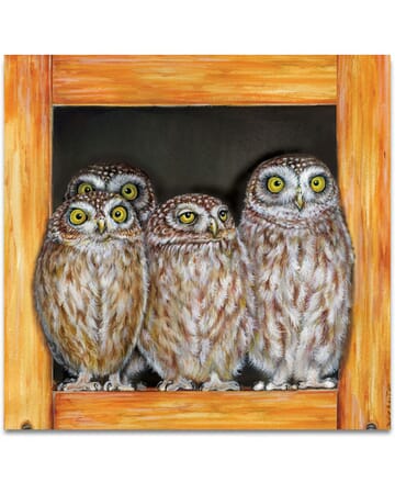 Four Young Owls