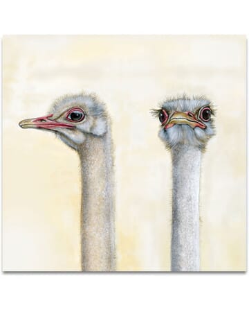 The Guardian Ostriches Low
