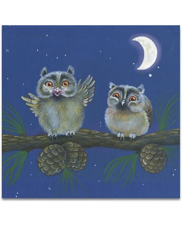 Owls In The Moonlight