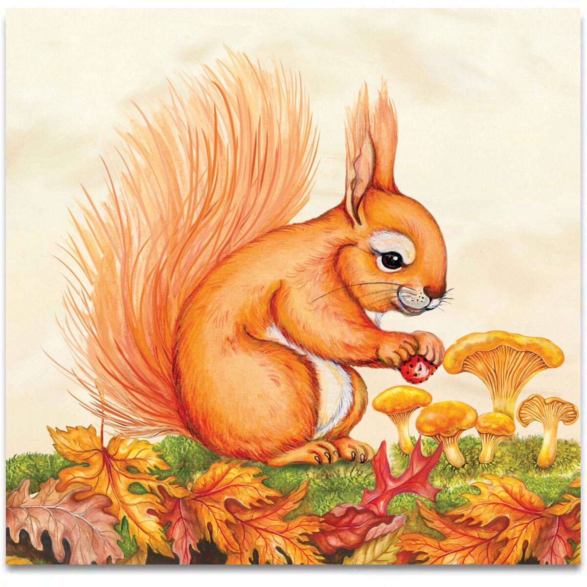 red-squirrel-in-the-woods