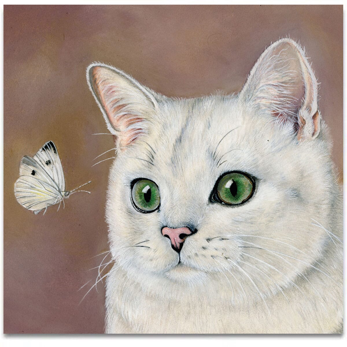 the-white-cat-with-a-butterfly