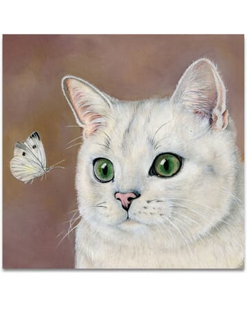 The White Cat With A Butterfly