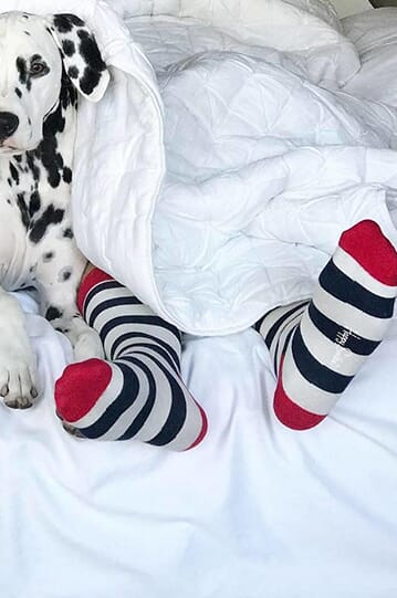 happysocks