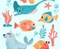 Patterns