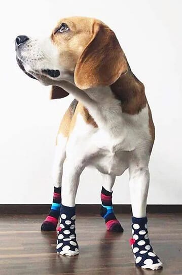 Happy Socks